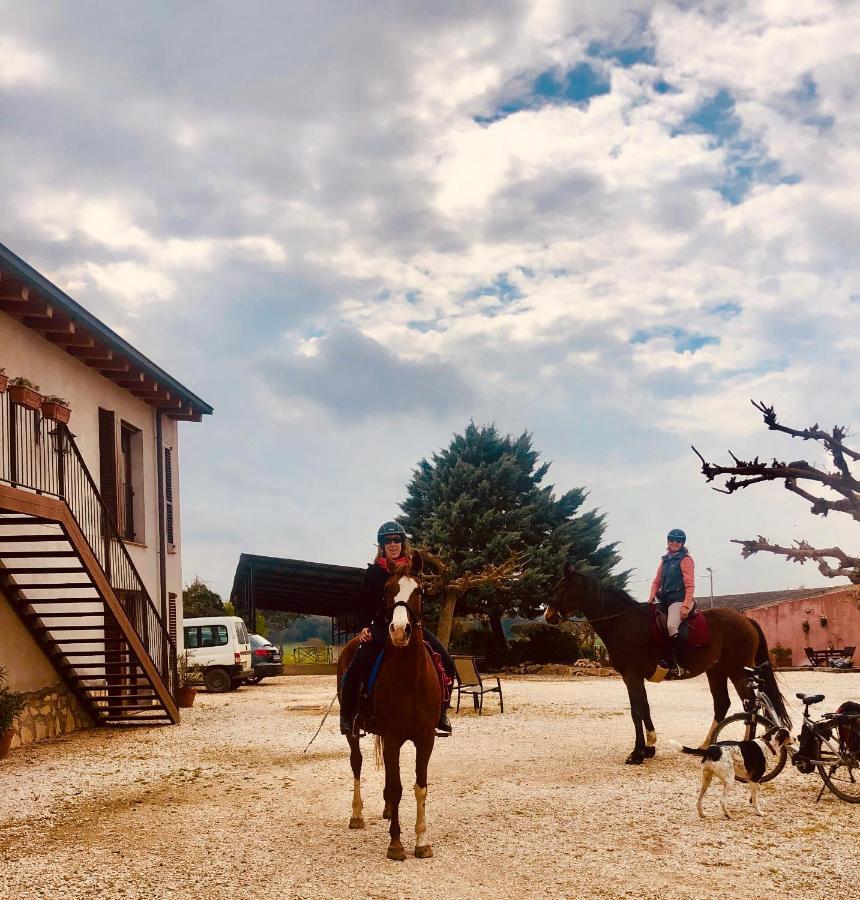 Franciach B&B El Ranxo المظهر الخارجي الصورة