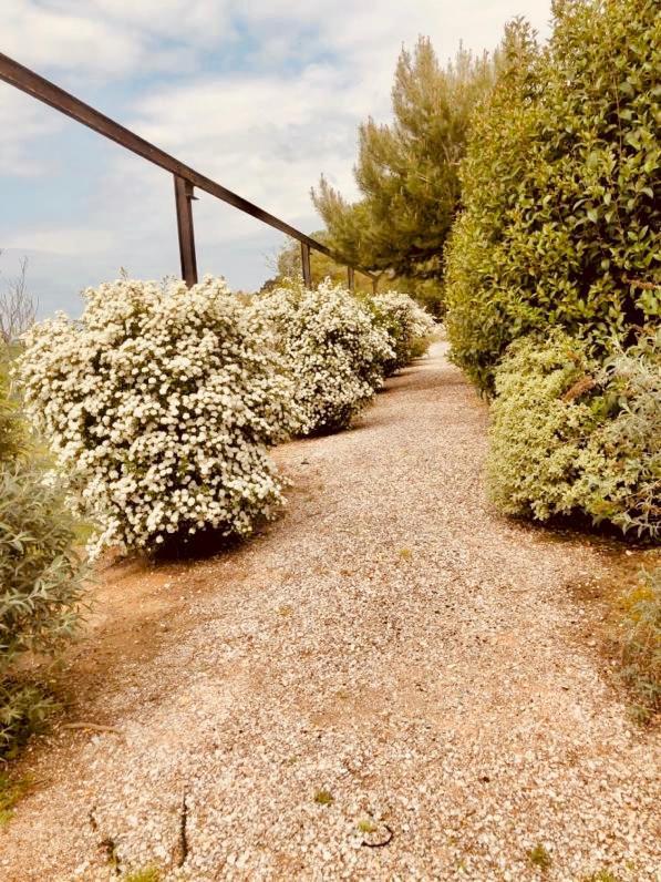 Franciach B&B El Ranxo المظهر الخارجي الصورة